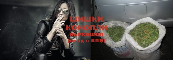 соль ск Лиски
