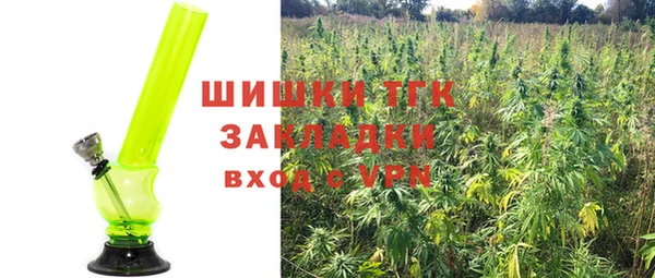 соль ск Лиски