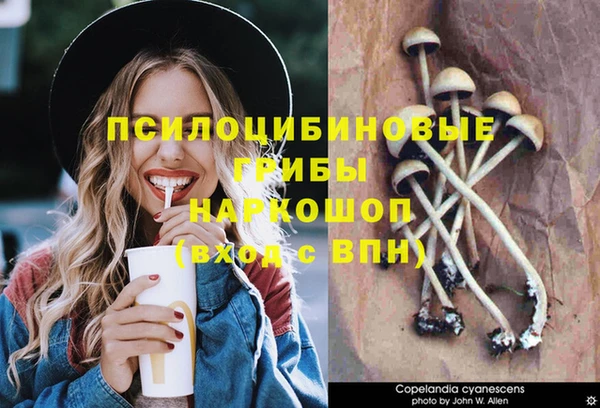 эйфоретик Лихославль